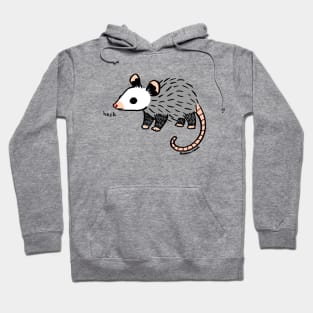 Possum opossum Heck Recolor Hoodie